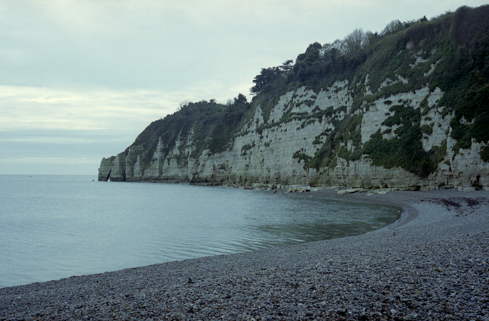 Beer Beach